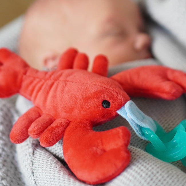 Baby Scuba Doll & Pacifier Set: Clown Fish (Nemo) & Lobster – Diving ...