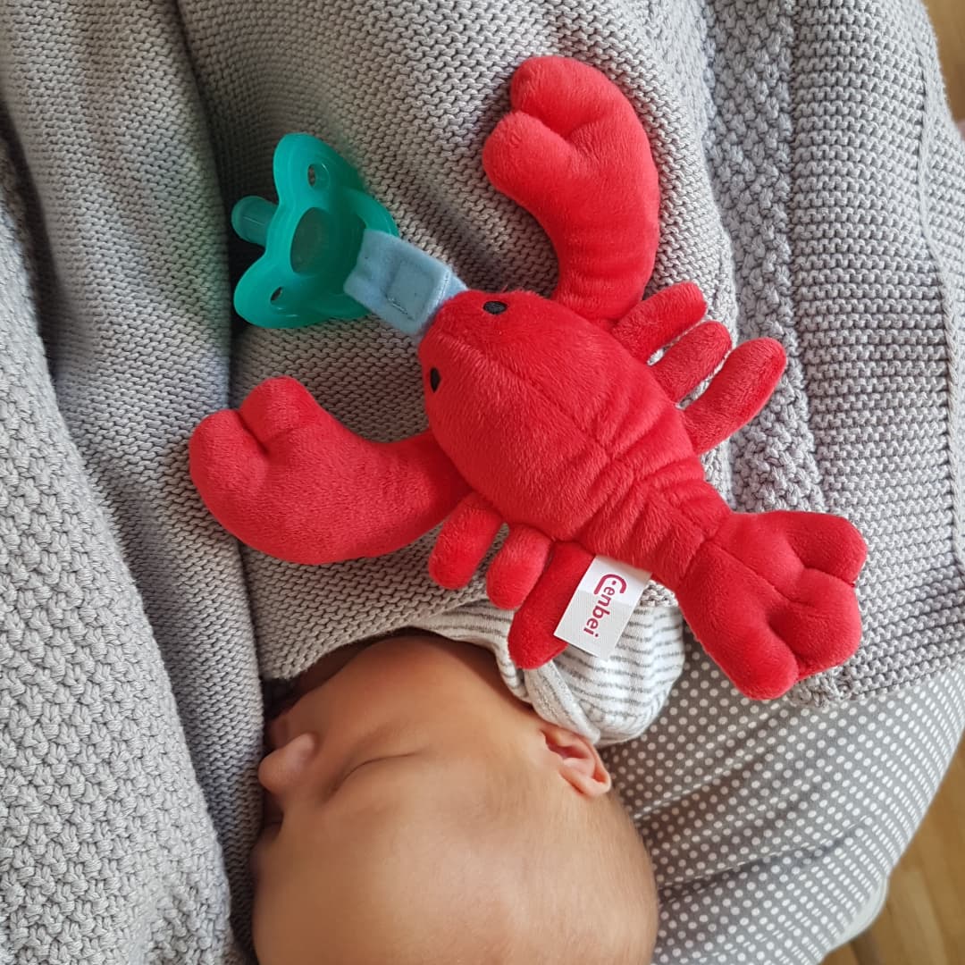 Baby Scuba Doll & Pacifier Set: Clown Fish (Nemo) & Lobster – Diving ...