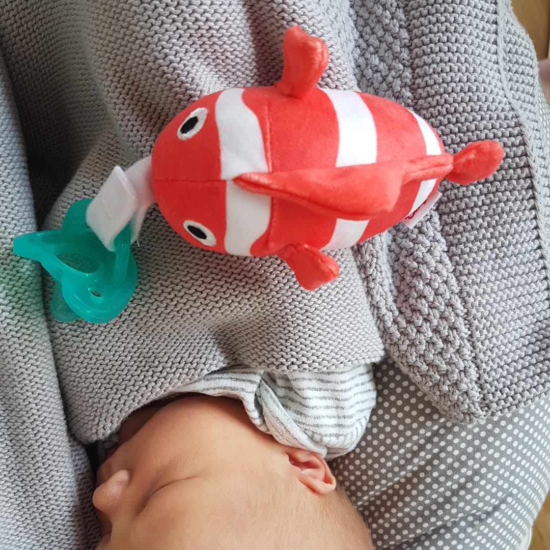 Baby Scuba Doll & Pacifier Set: Clown Fish (Nemo) & Lobster – Diving ...