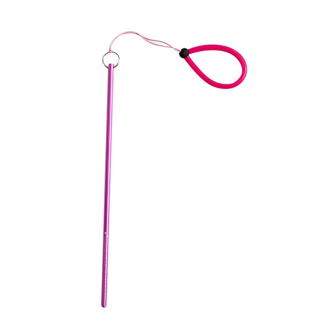 Diving Pointer Aluminium Alloy Lobster Stick – Diving Specials Shop